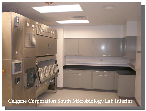 Celgene Corporation South Microbiology Lab Interior 
